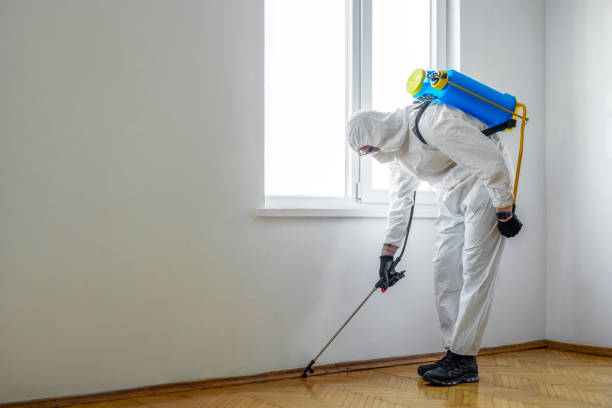Best Exterminator Services  in Centralia, MO