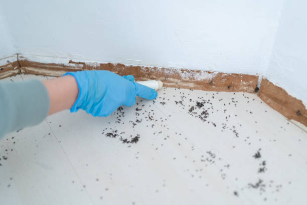 Best Pest Removal Services  in Centralia, MO